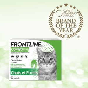 Onheil vuist binnenvallen Anti flea and tick treatment for cats and ferrets - Frontline Combo
