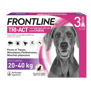 Minder dan financieel verklaren Frontline Tri-act - Hond 20-40 kg - Anti-vlooien, teken, vliegen