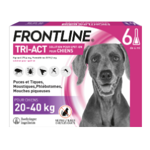 Confronteren kennis Zichtbaar Frontline Tri-act - Hond 20-40 kg - Anti-vlooien, teken, vliegen