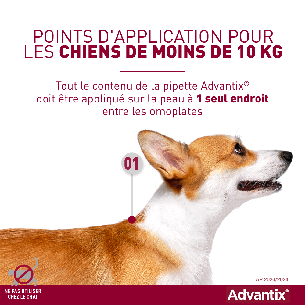 Advantix Antifloh Sehr kleiner Hund von 1,5 kg bis 4 kg 6 Pipetten