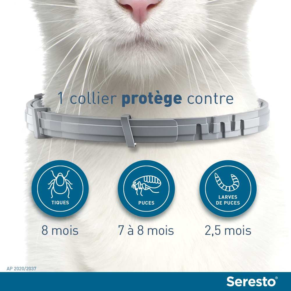 Seresto Chat Cat Flea Control Veto Products