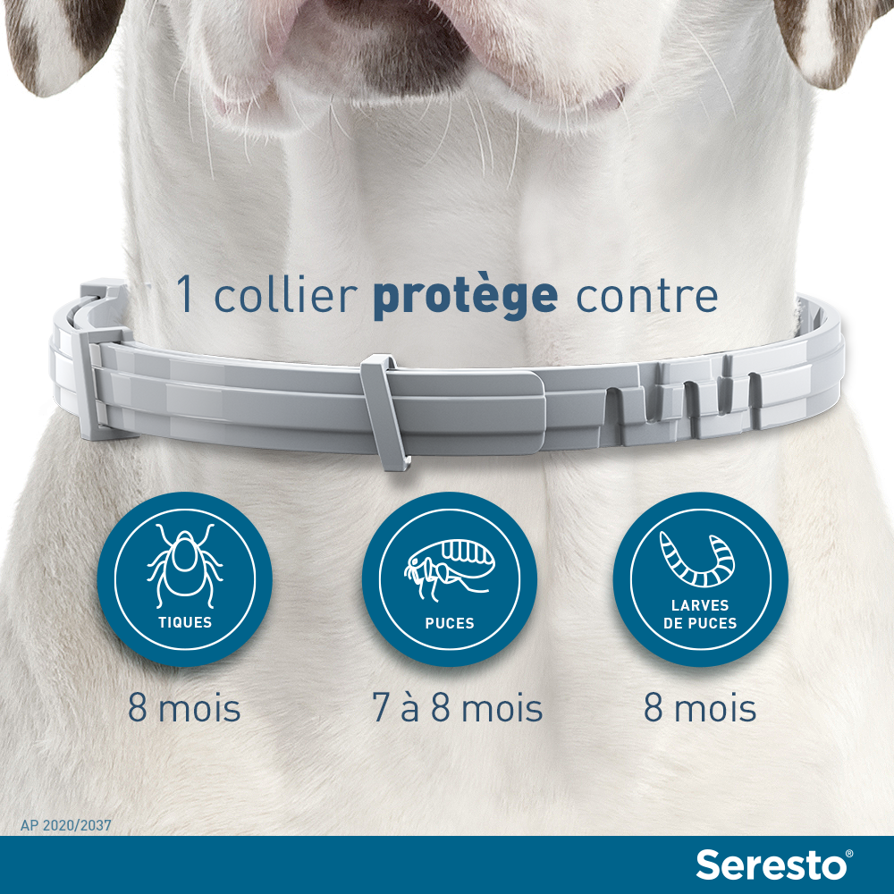 Beschikbaar Cerebrum opstelling Seresto - Grote hondenvlooienband - 70 cm - ELANCO