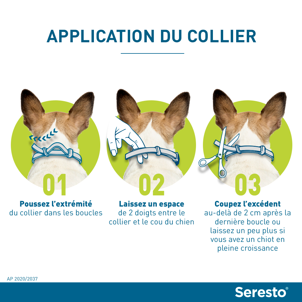 nul onvoorwaardelijk universiteitsstudent Seresto - Anti-vlooienband voor kleine honden - 38 cm - ELANCO
