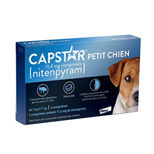 Knooppunt botsing hobby Capstar Small Dog - 11,4 mg - Anti-vlooien - van 1 tot 11 kg - ELANCO