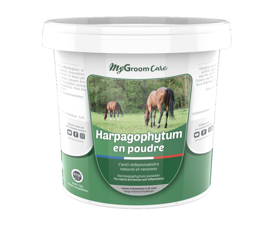 Curcuma-Harpago Chiens - Plant'Equine