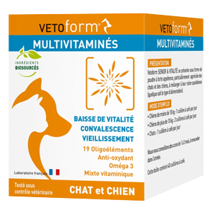 Multivitaminés - Vitalité, convalescence et vieillissement - Poudre - Chien et Chat - VETOFORM - DAZONT - Produits-veto.com