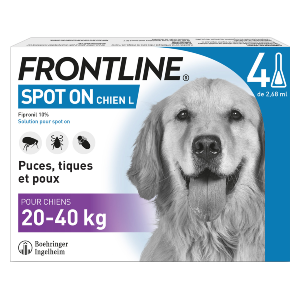 Kritiek snor Flash Frontline Spot-on L - van 20 tot 40 kg - Anti-vlooien - Hond 4 Pipetten
