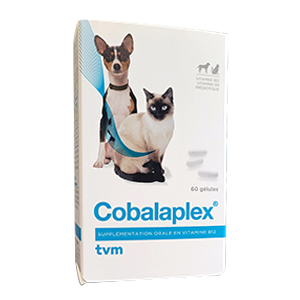 Cobalaplex - Vitamine B12 et B9 - Prébiotiques - 60 gélules - TVM - Produits-veto.com